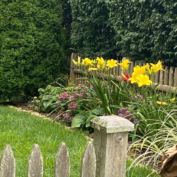 Meet your Posher, Jane - Picture 6 of 8